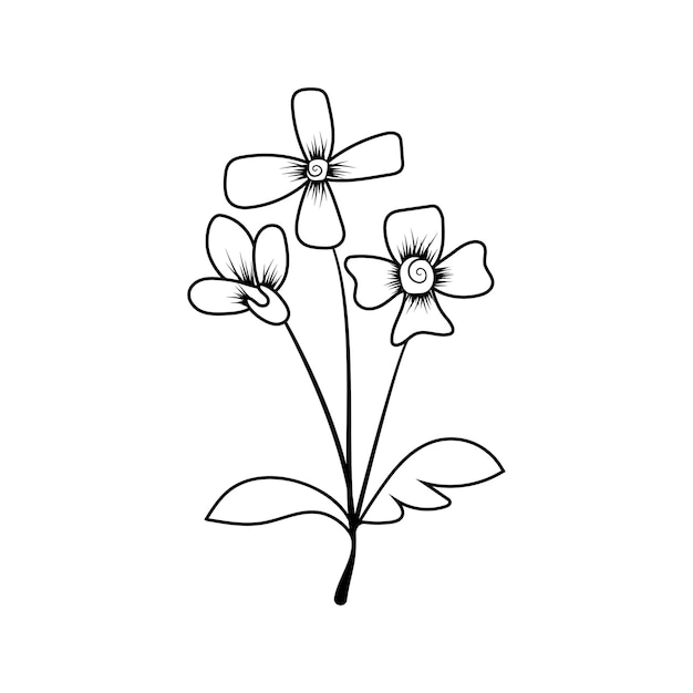 Vector black outline flower vector