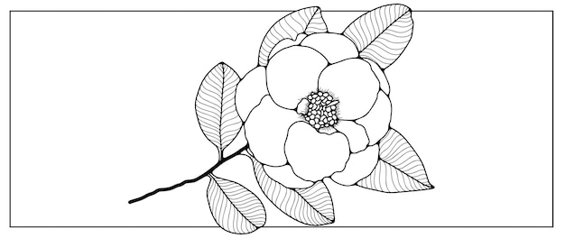 白い背景に葉が付いた花の黒い輪郭