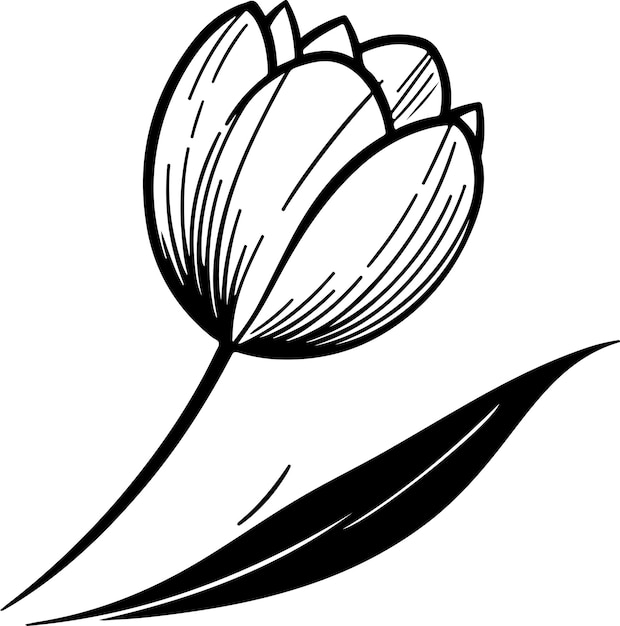Черная контурная векторная иллюстрация тюльпанов