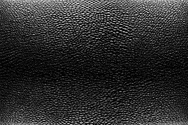 Vector black overlay monochrome grunge texture on white background vector image background texture