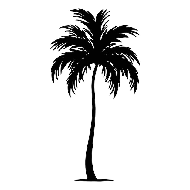 Vector black palm tree silhouette coconut tree vector illustration on a white background