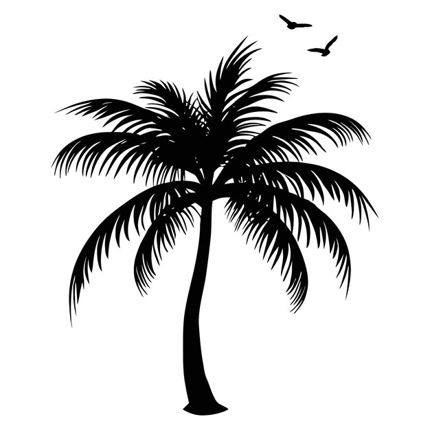 Vector black palm tree silhouette coconut tree vector illustration on a white background