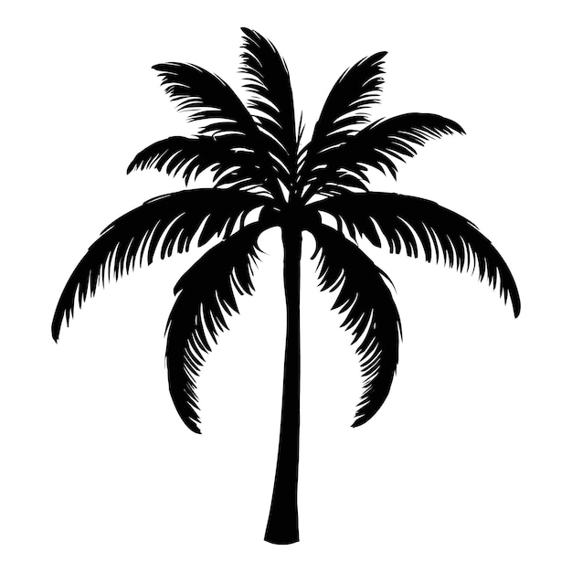 Black palm tree silhouette Coconut tree vector illustration on a white background