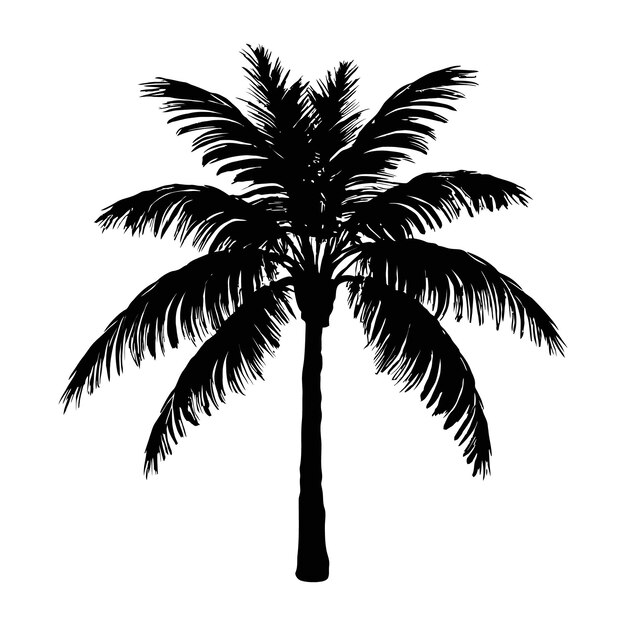 Vector black palm tree silhouette coconut tree vector illustration on a white background