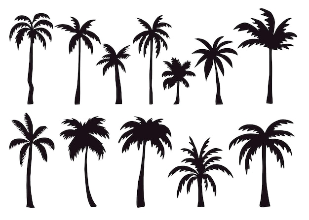 Vector black palm trees set isolated on white background palm silhouettes design of palm trees for poster