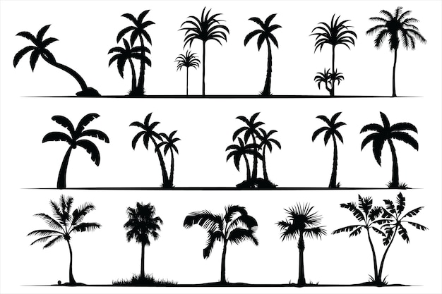 Black palm trees set, Palm silhouettes collection