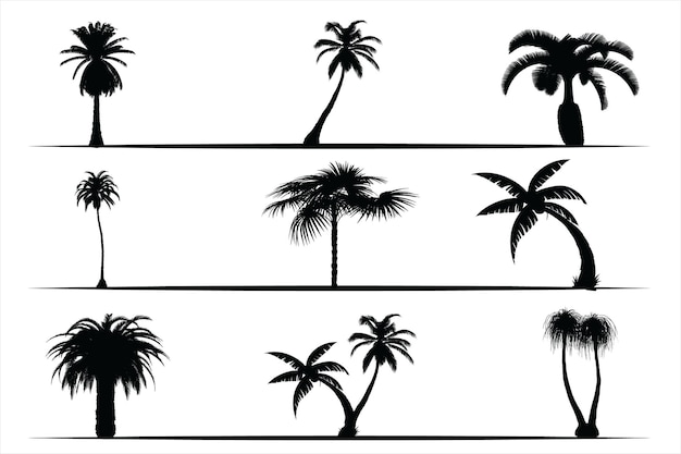 Black palm trees set, Palm silhouettes collection