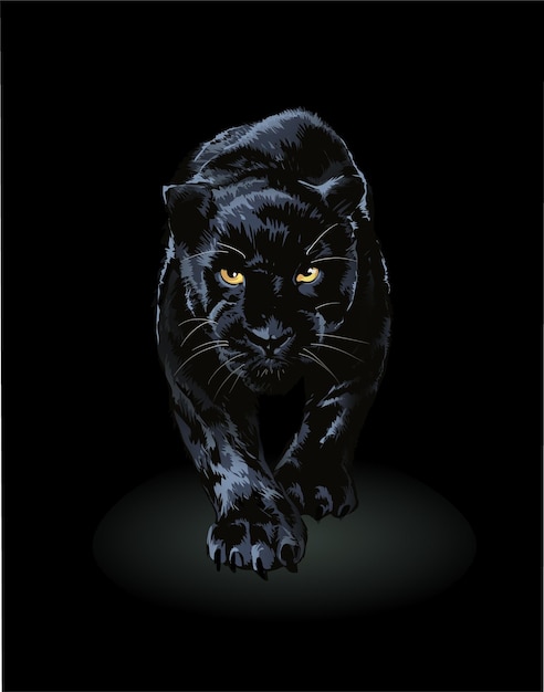 Black panther walking in shadow illustration