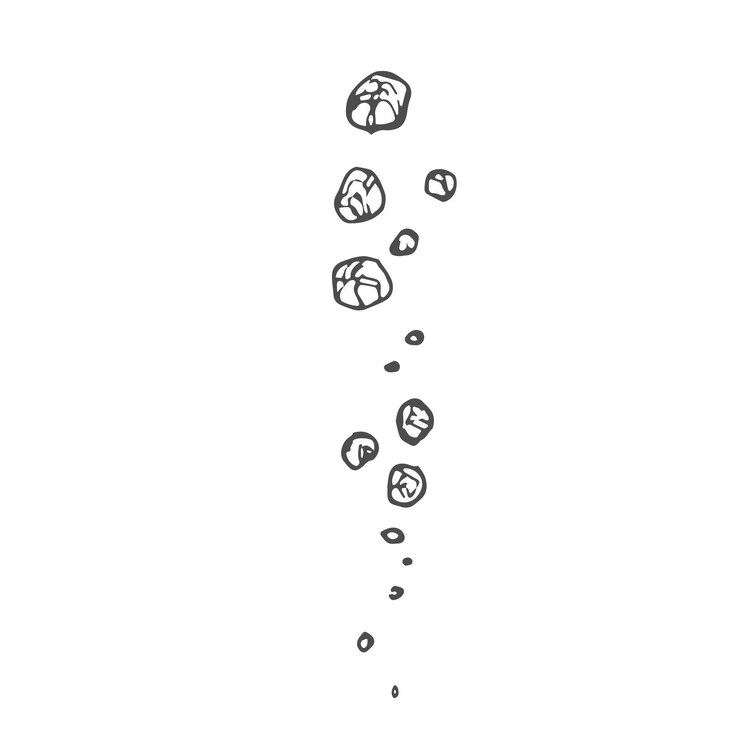 Vector black pepper seasoning hand drawn ink sketch