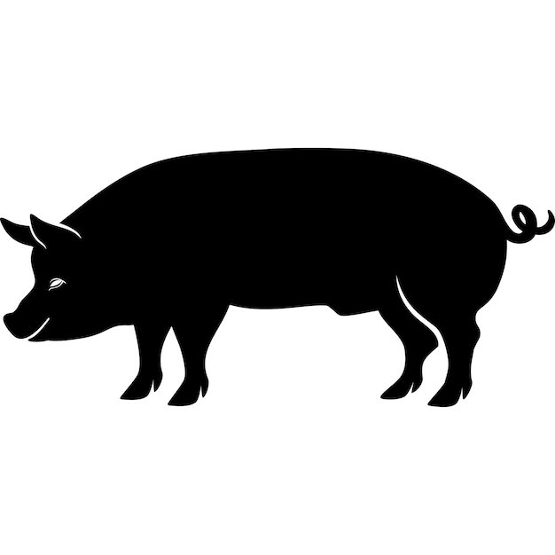 Vector black pigs silhouette