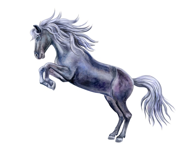 Black playful horse with silver mane isolated on white. Watercolor illustration