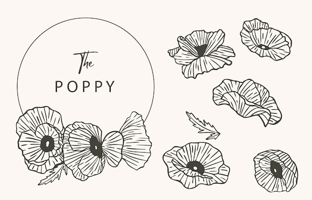 Vector black poppy flower outlinevector illustration for icon