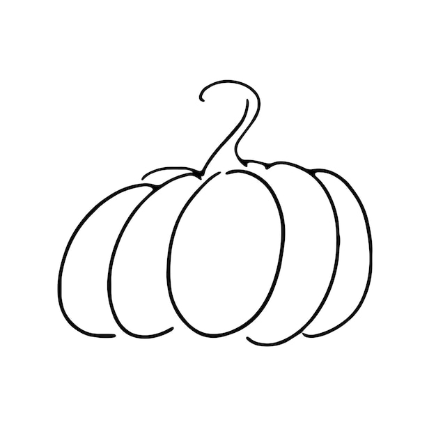 Vector black pumpkin line art silhouette hand drawn sketch isolated on white background