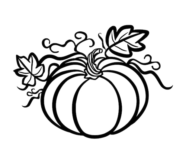 Black pumpkin silhouette outline stencil,leaves,stem.Fall.Autumn October Harvest festival.Halloween.