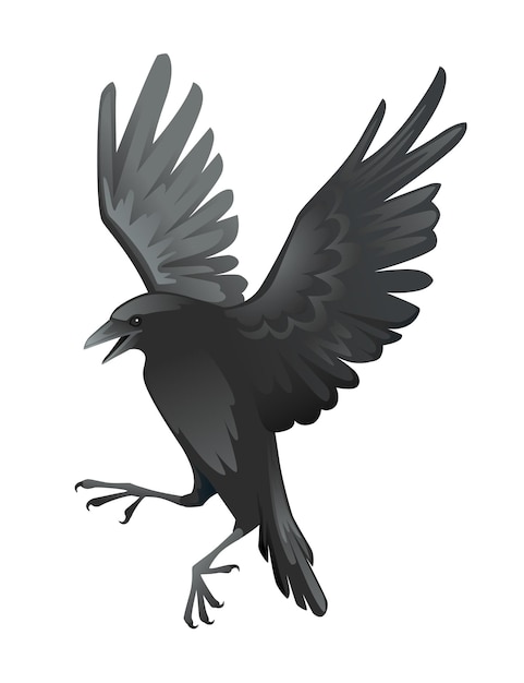 Black raven bird cartoon crow design flat vector animal illustration isolated on white background