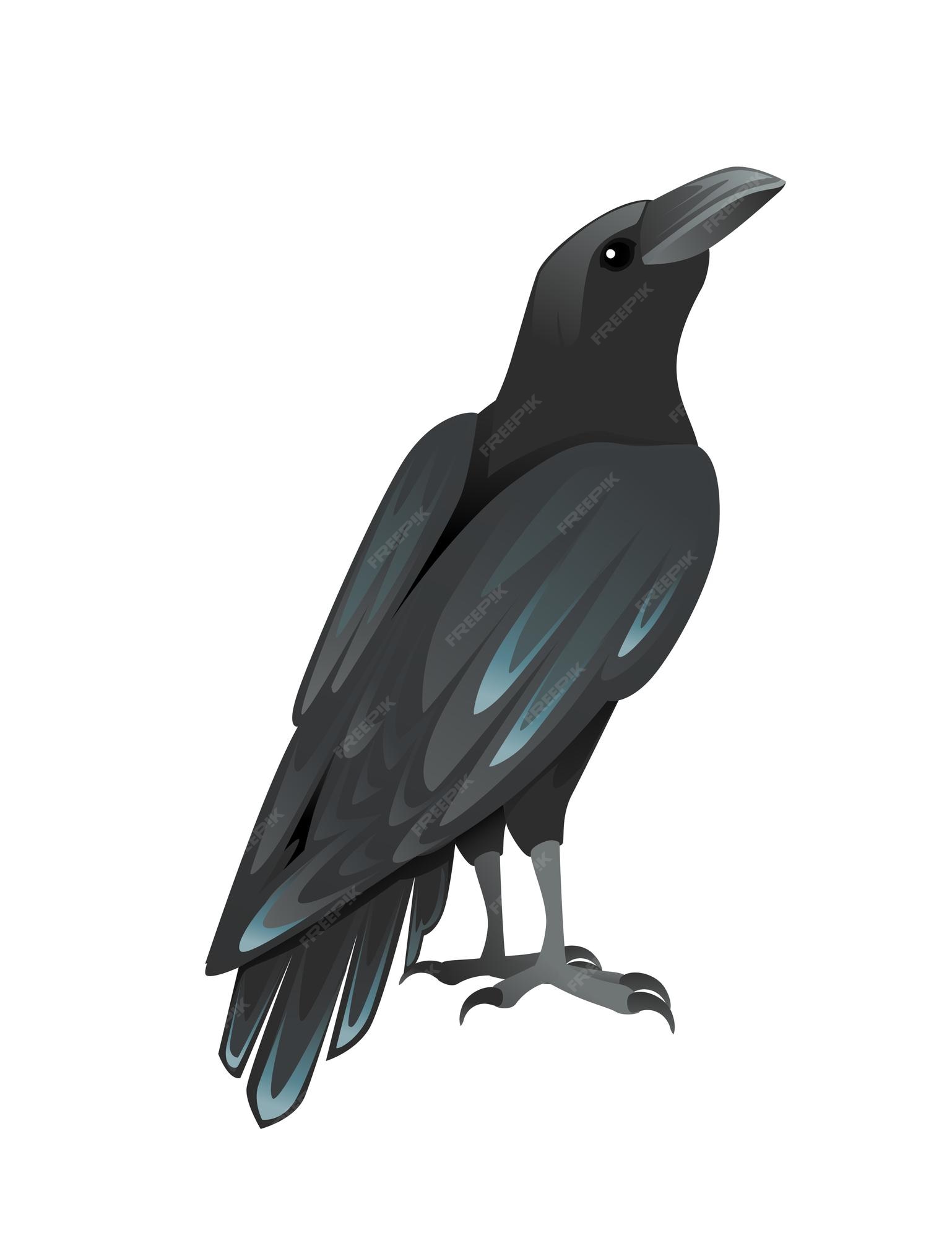 Premium Vector | Black raven bird cartoon crow design flat vector animal  illustration isolated on white background