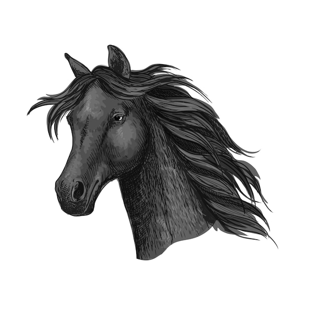 Black raven horse head portrait