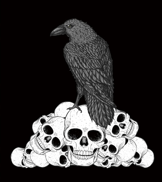 Vector black raven sits on the skulls skull and raven hand drawn illustration tattoo vintage print