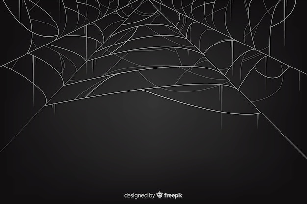 Black realistic cobweb with gradient