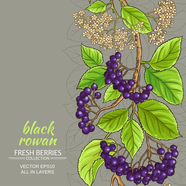 Premium Vector | Black rowan vector pattern