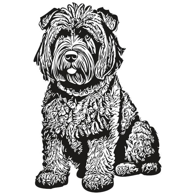 Black Russian Terrier dog pet sketch illustration black and white engraving vector realistic breed pet