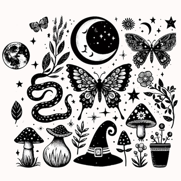 Vector black s white mystic forest set with snakes butterflies moon flowers witch hat celestial clipa art