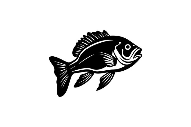 Vector black sea bass icon