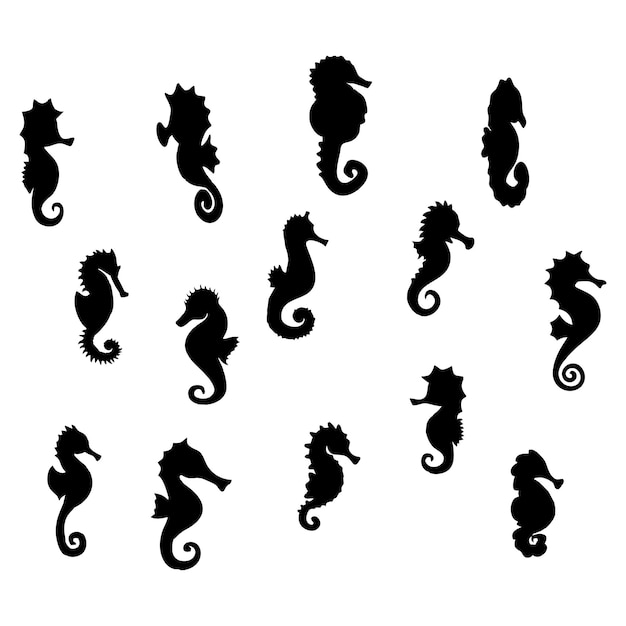 black seahorse silhouette in the sea