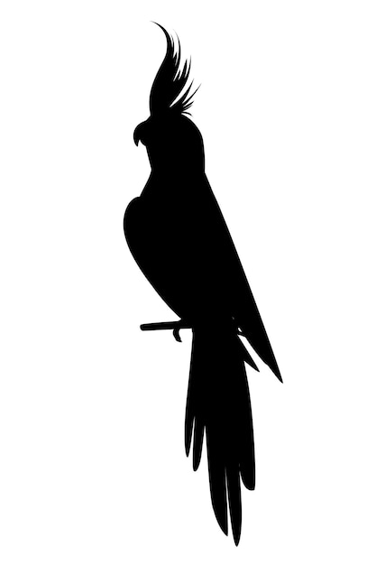 Черный силуэт взрослый попугай нормальной серой кореллы, сидящей на ветке (Nymphicus hollandicus, corella) мультфильм птица дизайн плоские векторные иллюстрации, изолированные на белом фоне.