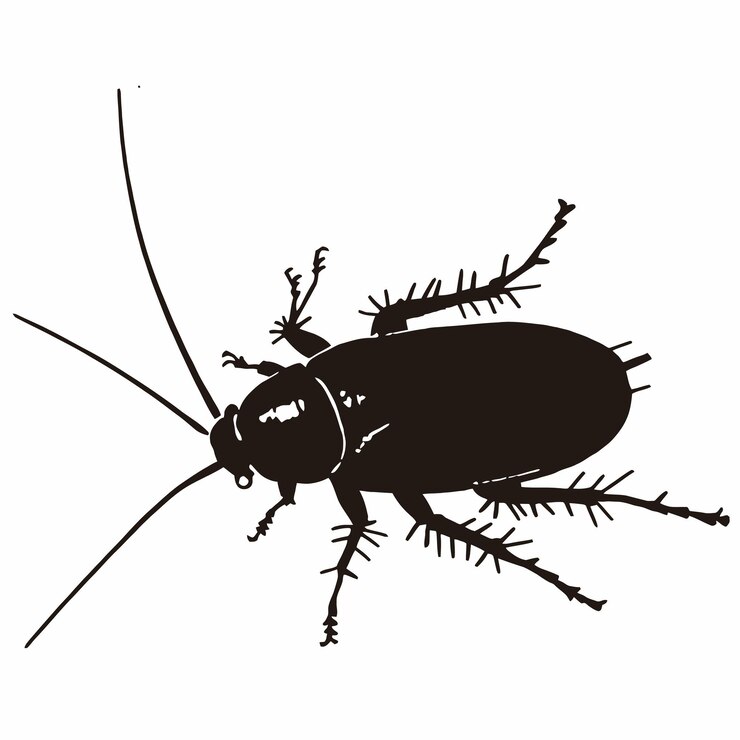 Vector black silhouette of a american cockroach