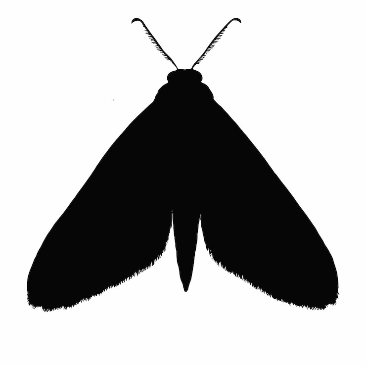 Vector アップルモットの黒いシルエット