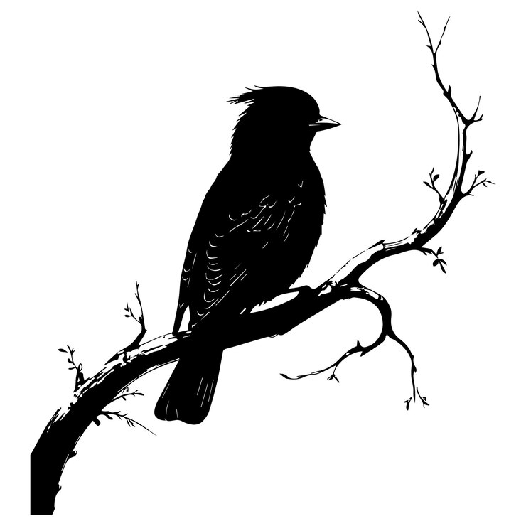 Vector black silhouette of a bird sitting on a branch side view isolated illustration