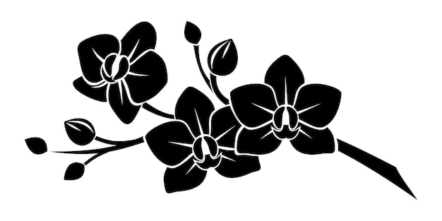 흰색 배경에 난초 꽃이 있는 나뭇가지의 검은 실루엣