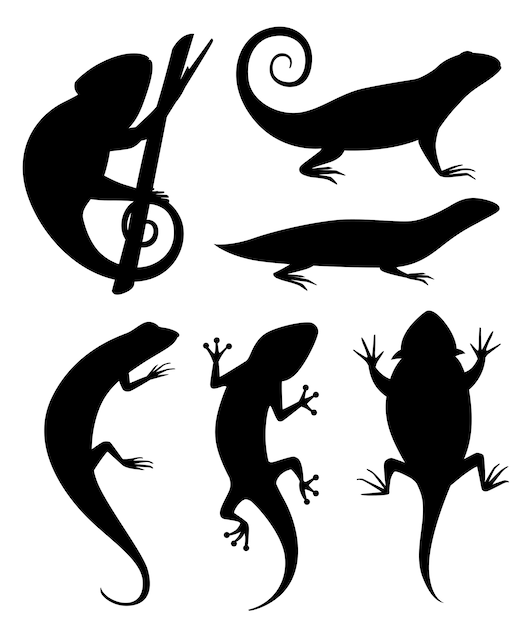 Black silhouette. cartoon chameleon climb on branch. small lizards. animal  icon collection.  illustration  on white background