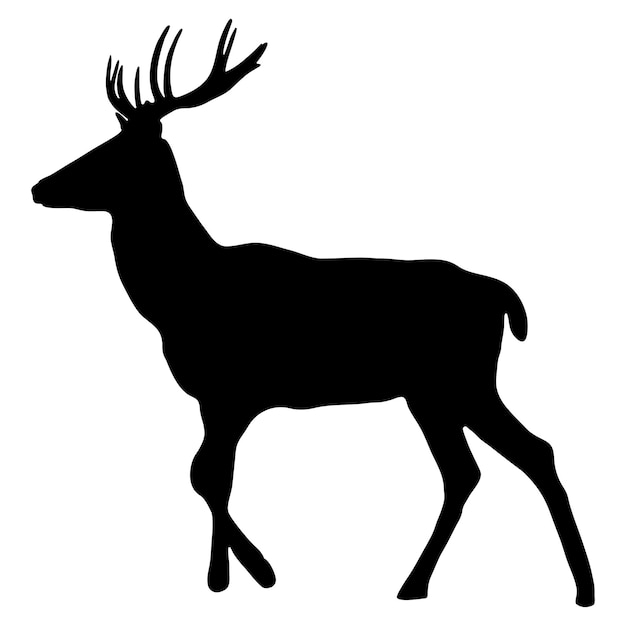 Black silhouette of a deer on a white background