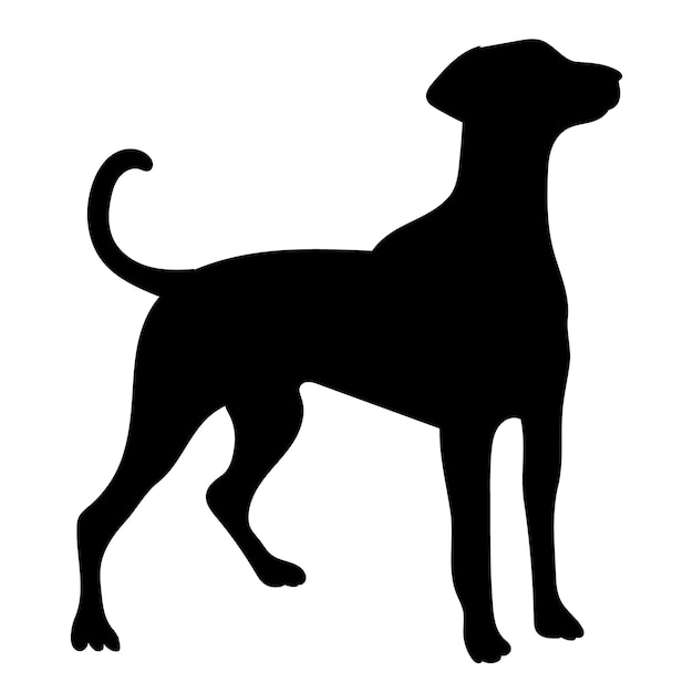 Black silhouette of a dog on a white background, vector, isolated