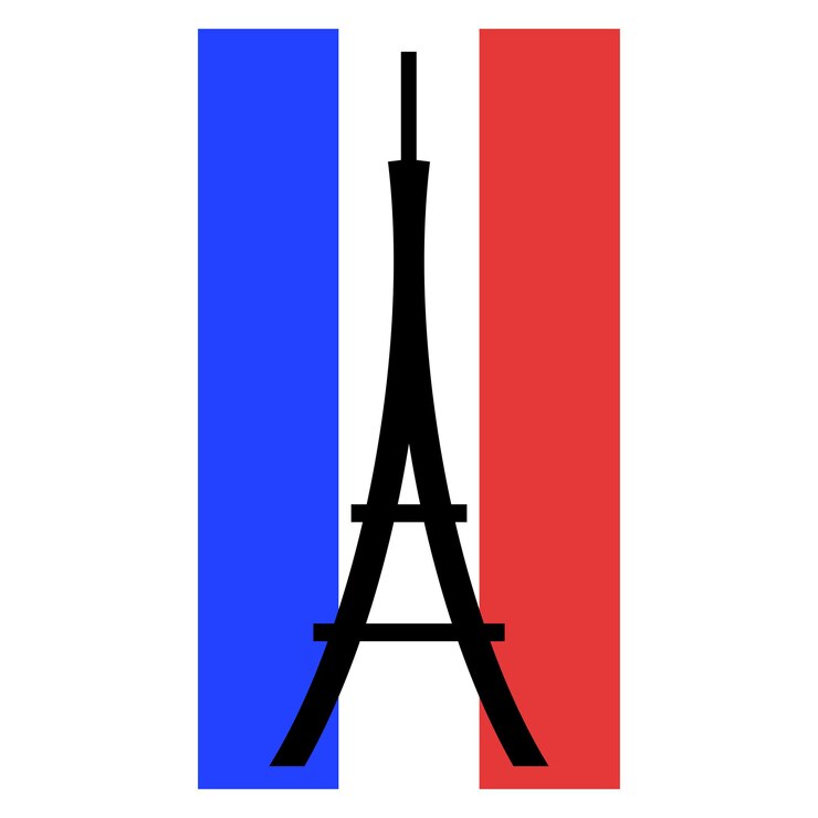 Vector black silhouette of the eiffel tower with the french flag at the back
