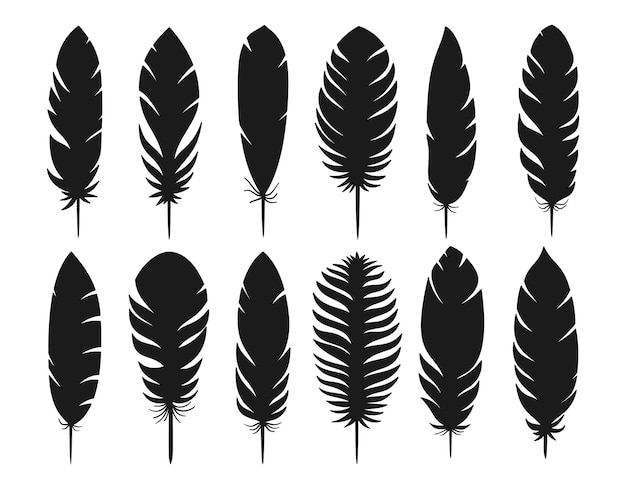 Vector black silhouette of feathers isolated on white background