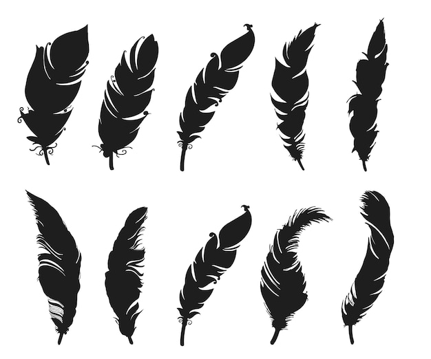 Black Silhouette of feathers isolated on white background