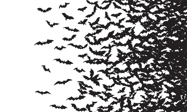 Vector black silhouette of flying bats flock