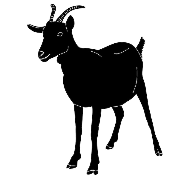 Vector black silhouette goat with horns