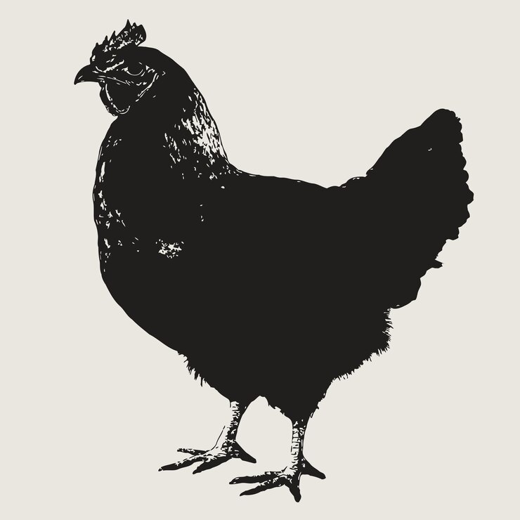 Vector black silhouette of a hamburg chickeneps