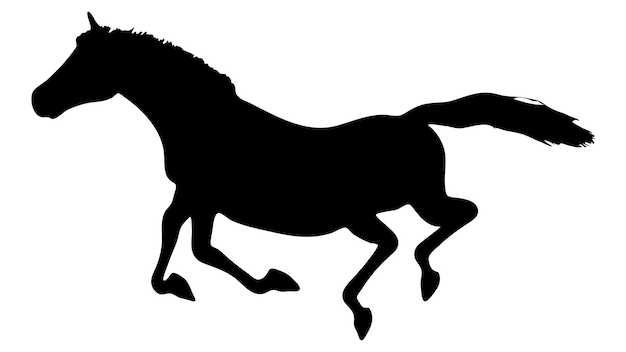 Black silhouette of horse Beautiful horse vector design rearing up horse Horses silhouette vector