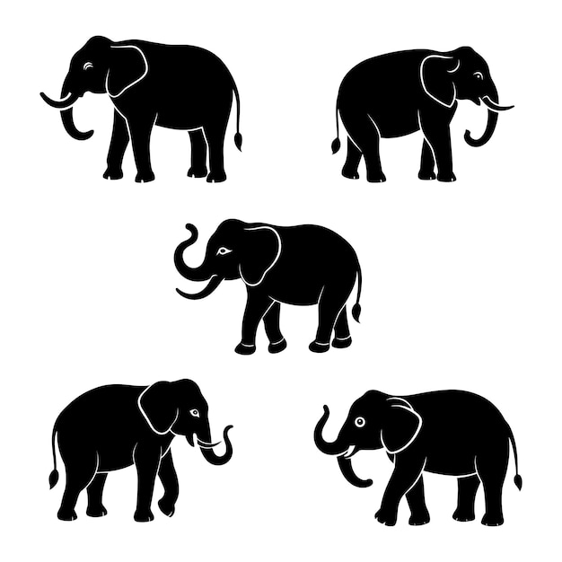 Vector black silhouette of indian elephant vector