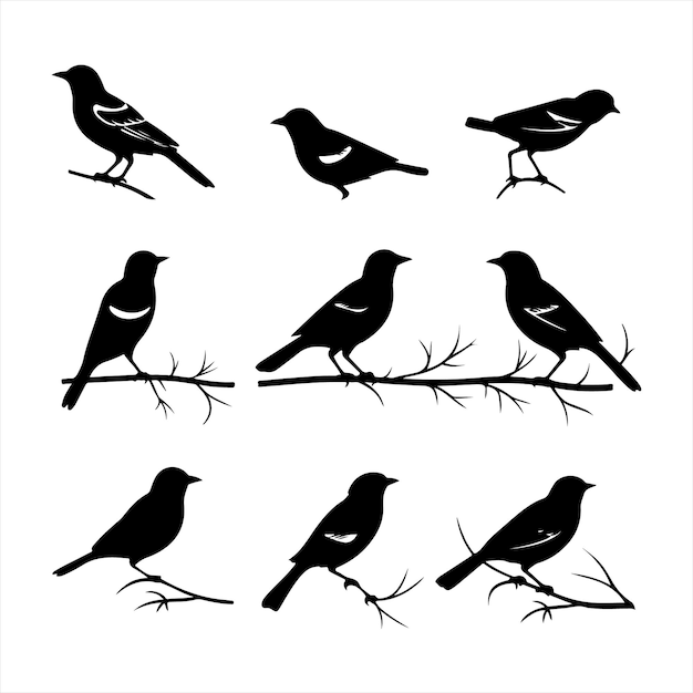 A black silhouette Jay bird set