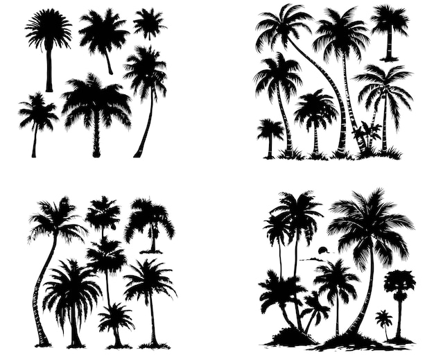 Vector black silhouette palm trees set on white background