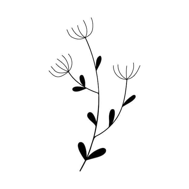 black silhouette of a plant isolated on a white background