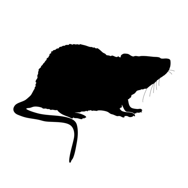 black silhouette of rat profile isolated on white background stop rat pet control prohibition