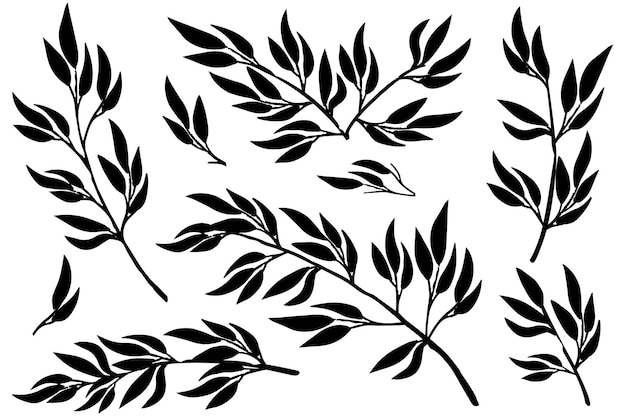 Black silhouette set of hand drawn tree branches with leaves botanical flowers floral hand drawn scandinavian style art design element flat vector illustration.