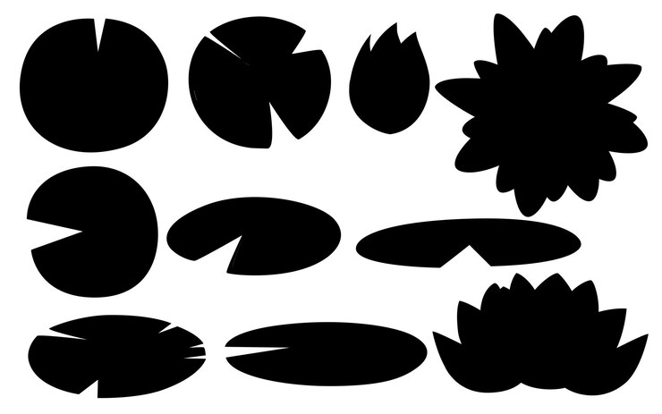 Vector black silhouette set of lily lotus parts flat vector illustration on white background